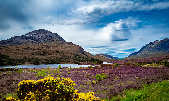Beside Loch Clair By John Curgenven
