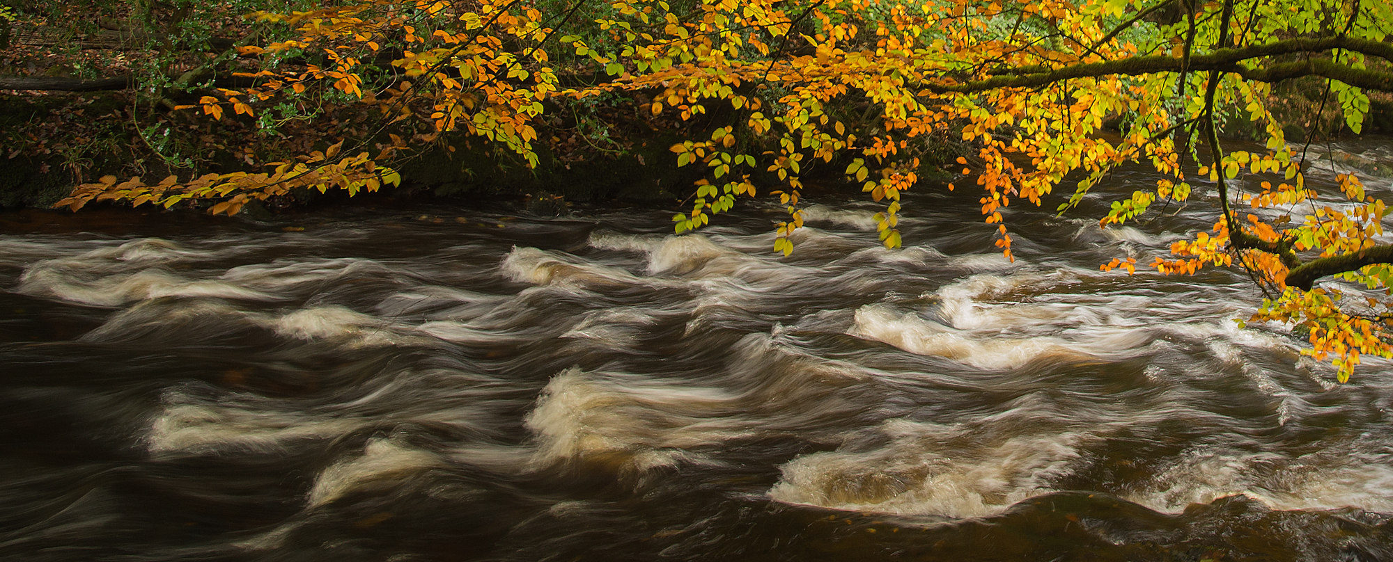 3rd Place Autumn Flow By Roger Creber