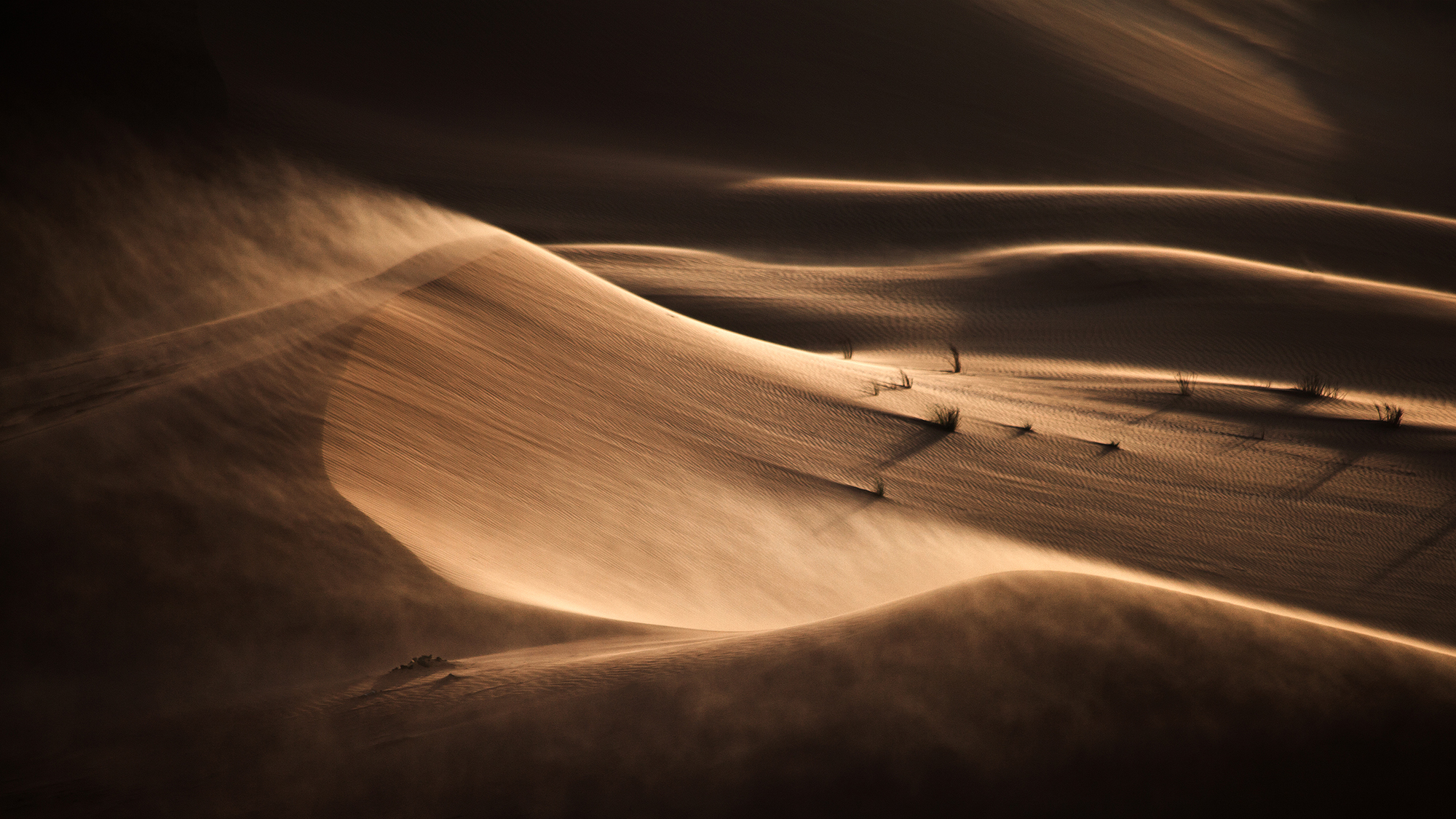 Aura Of The Dunes By Mohammed Arfan Asif FRPS