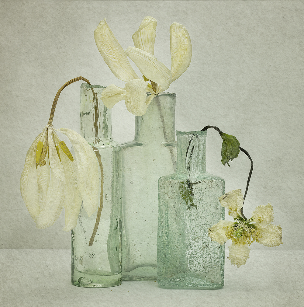 Aged Tulips in Old Bottles by Linda Gates LRPS