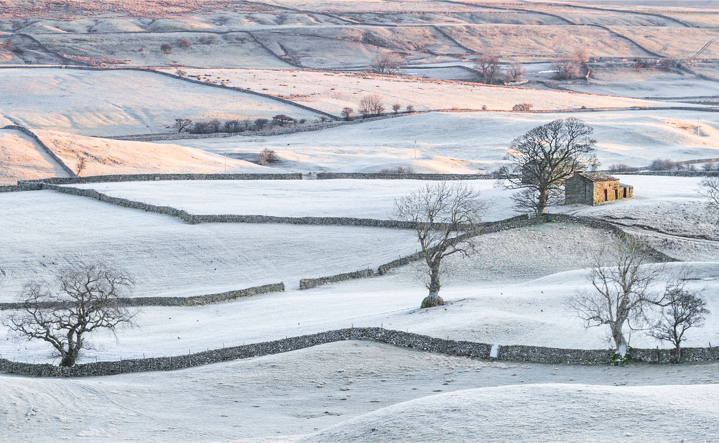 Yorkshire Dawn