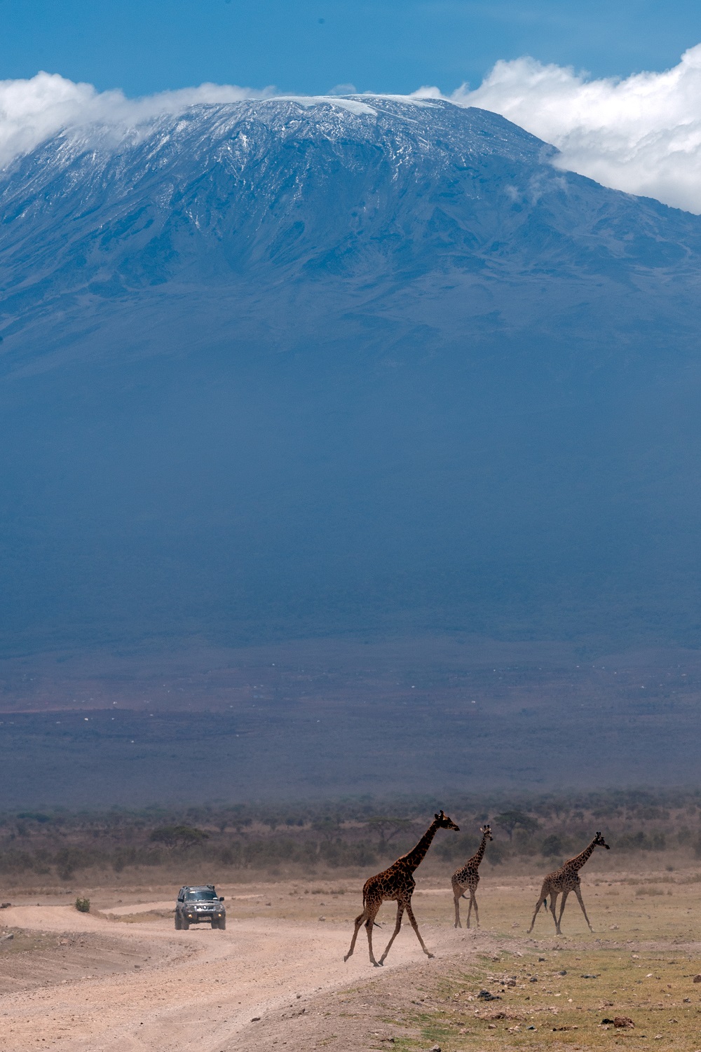 African Safari, Amboseli, Kenya by Sanjoy Sengupta