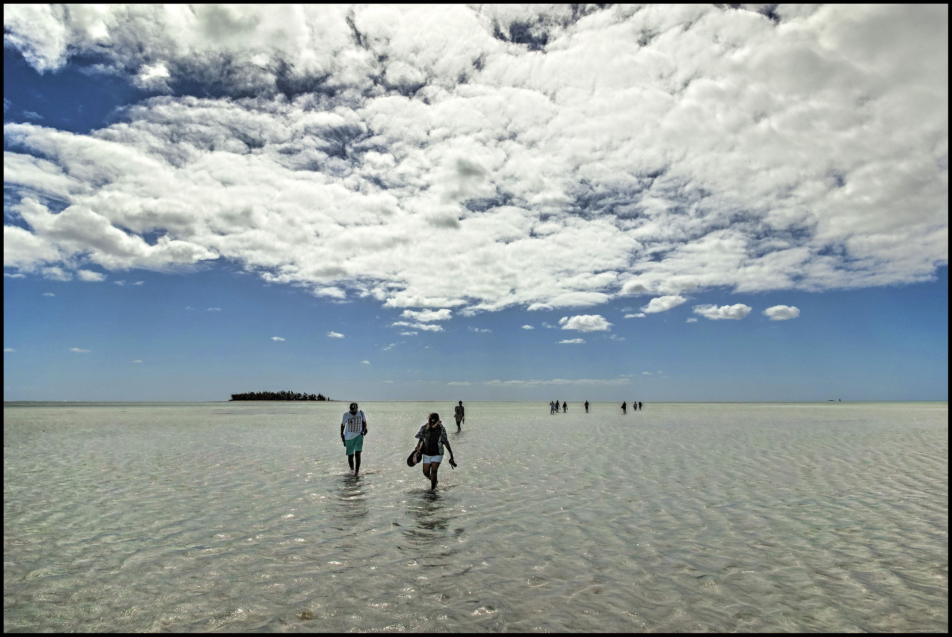 Island walking by Rodrigues Leslie Nimmo ARPS (Mauritius)