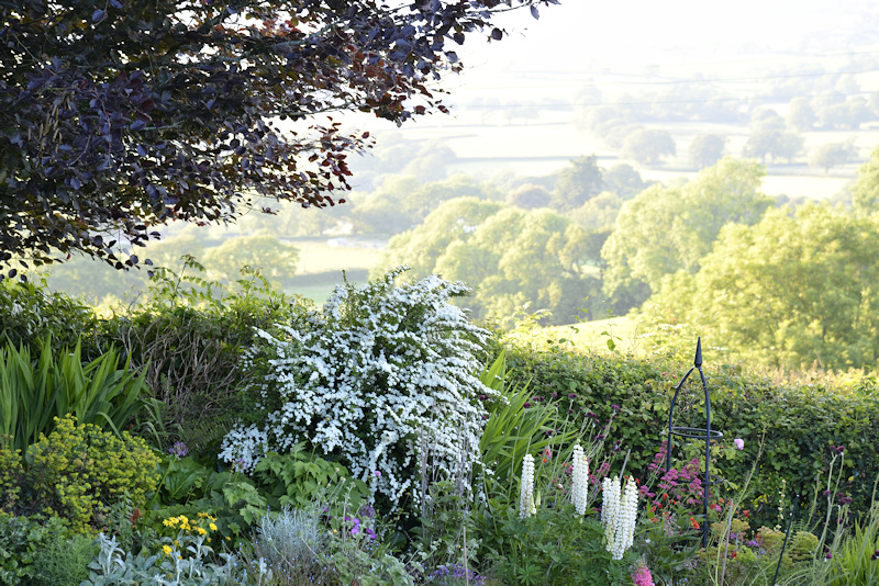 garden view