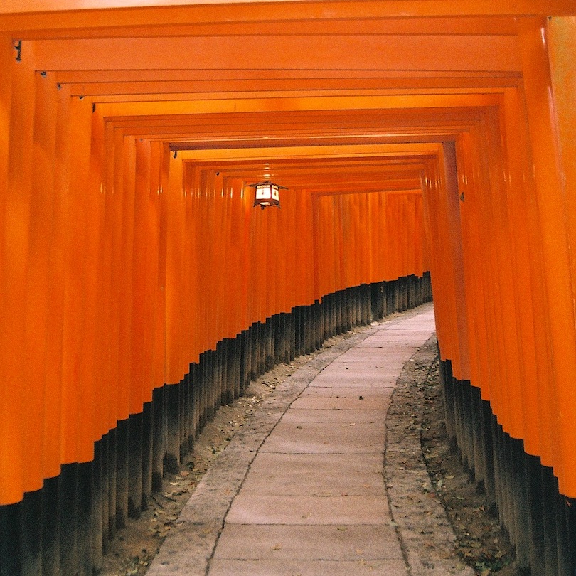 Kyoto By Amy Fern Nuttall ARPS