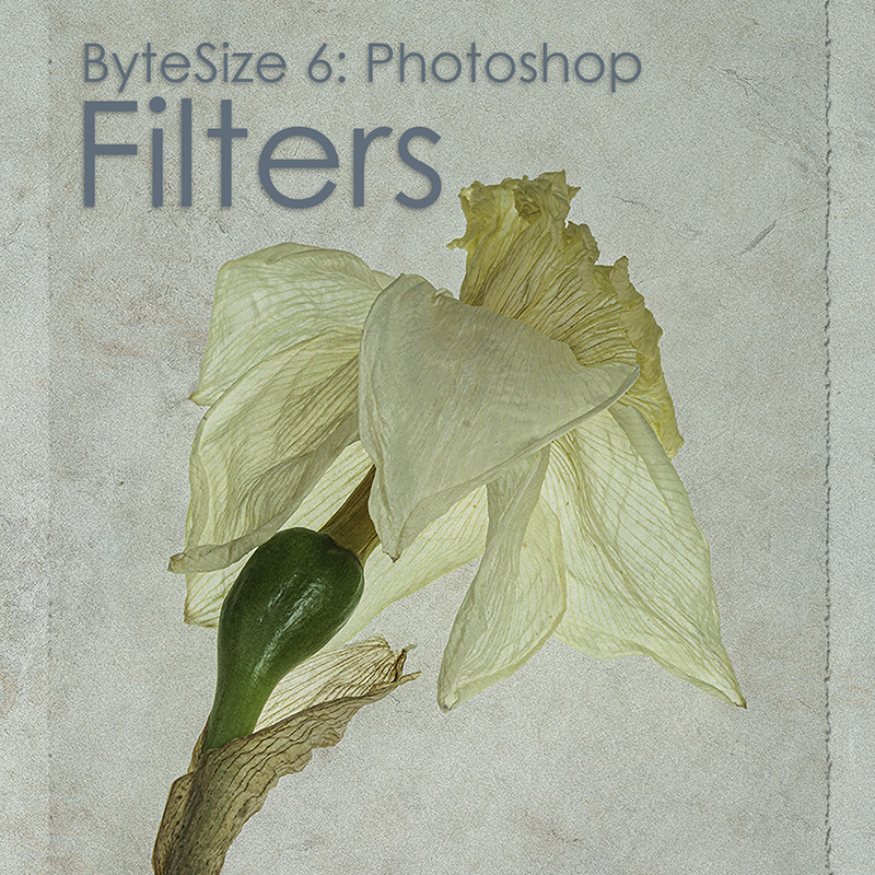 Bytesize6 Filters Copy