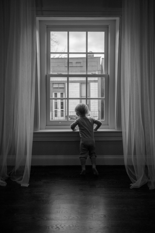 Leo Looking Out By Nicol Hockett ARPS United States