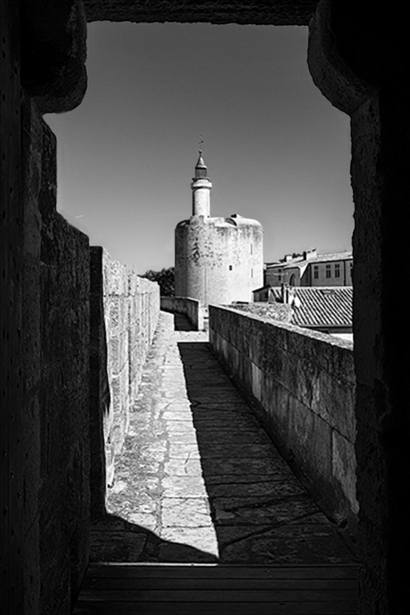 Constance Tower And Ramparts Aigues Mortes