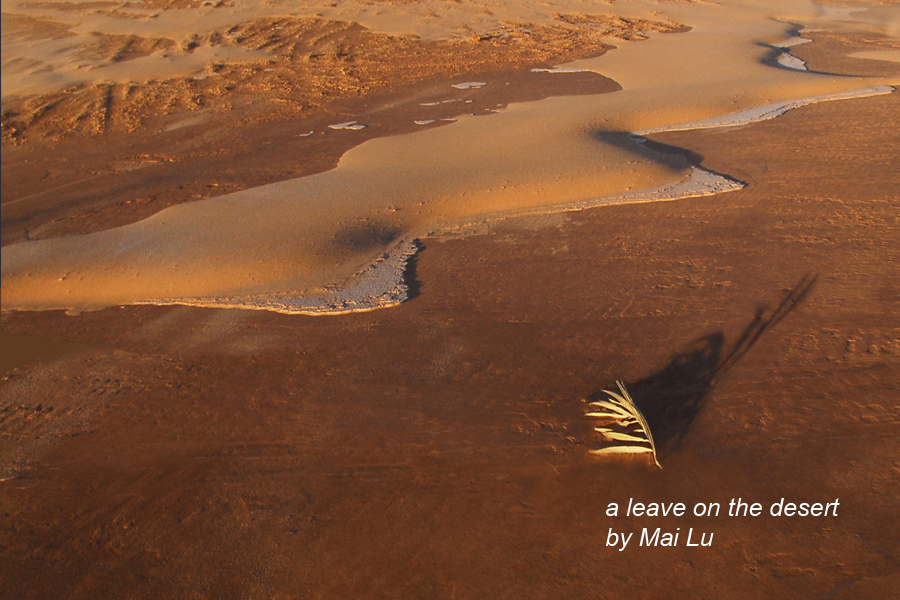 A Leave on the Desert by Mai Lu