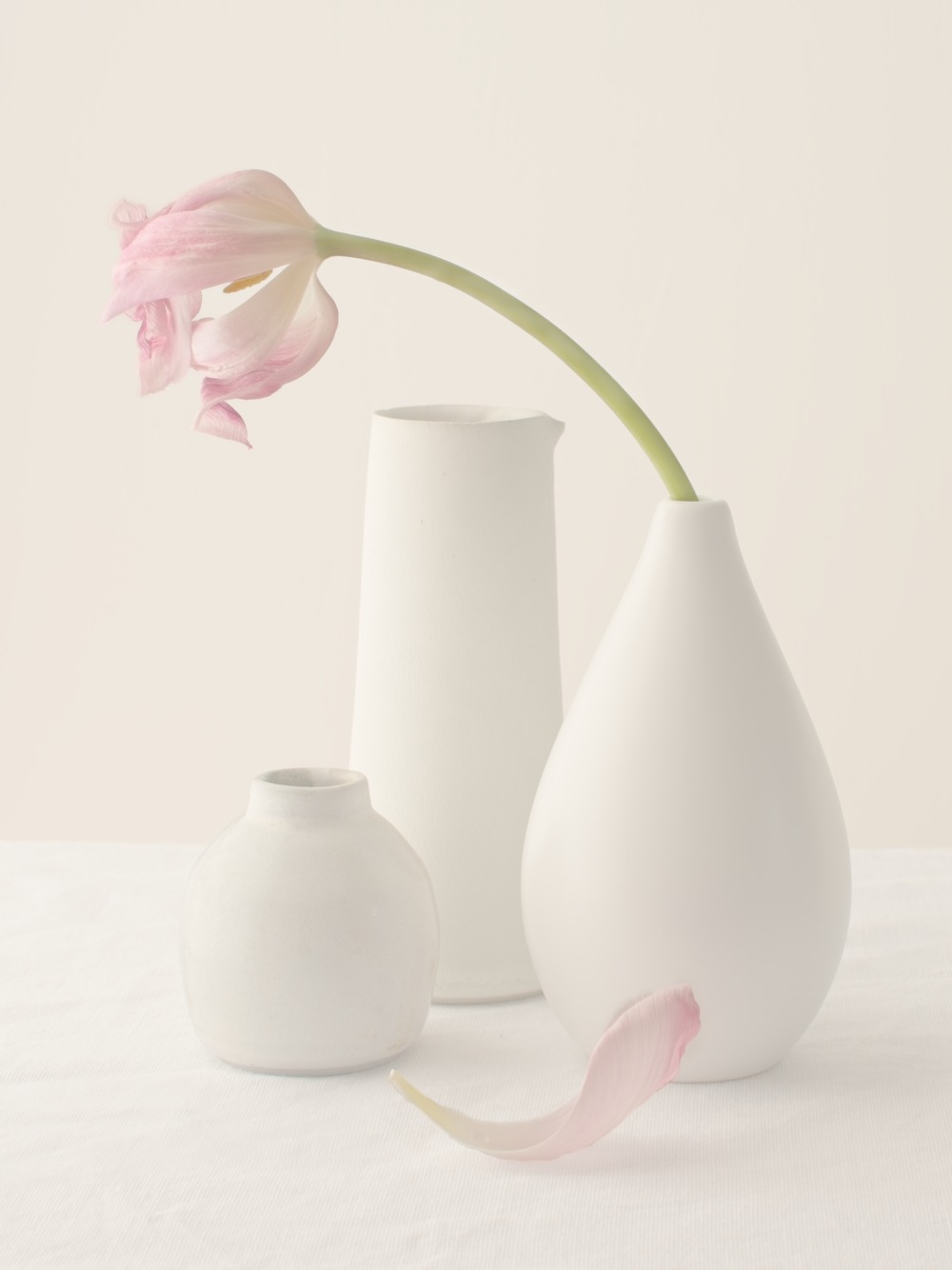 32 - Pale Dying Tulip by Kirsten Bax LRPS