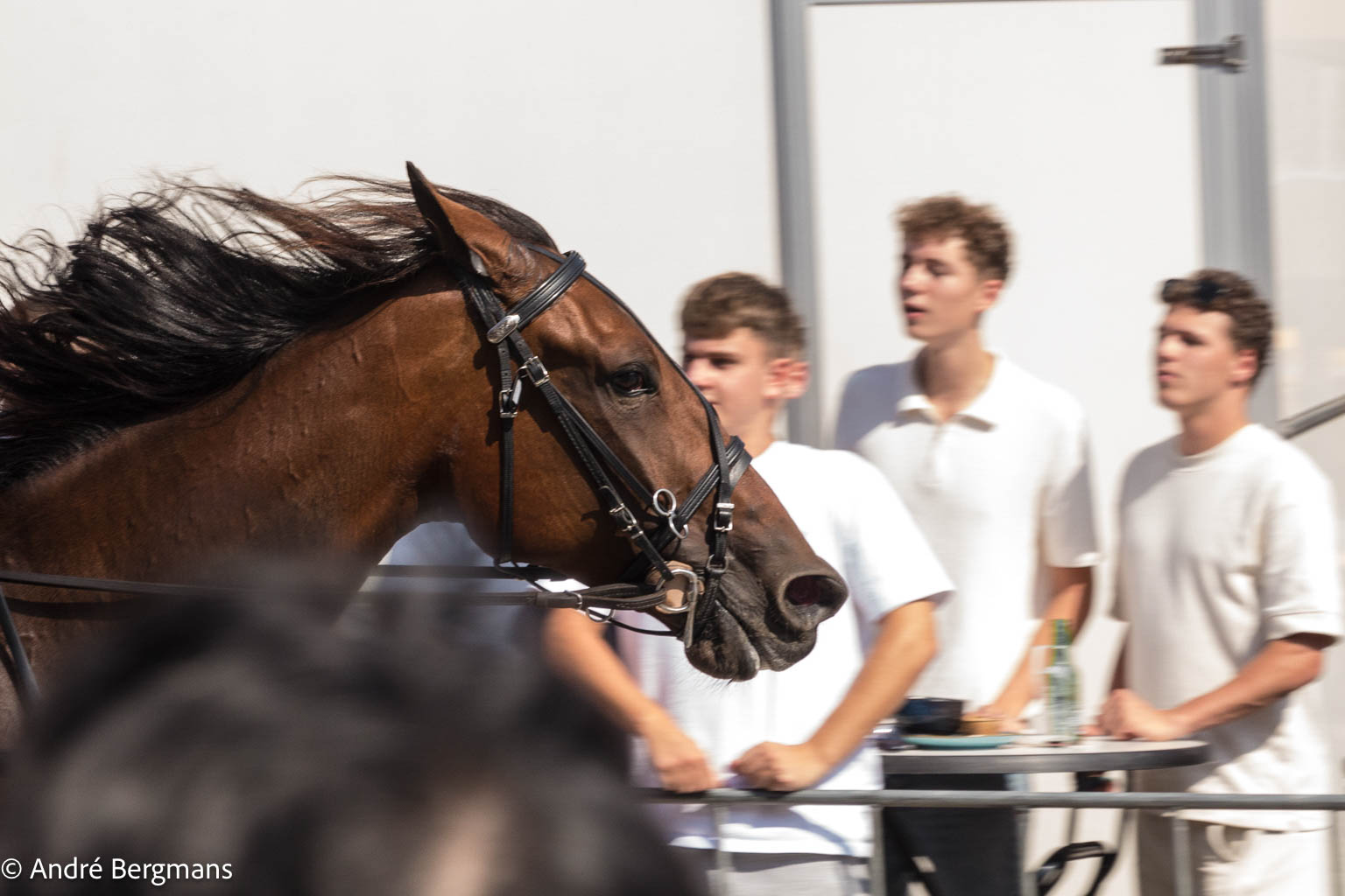 14 André Bergmans A Day At The Races