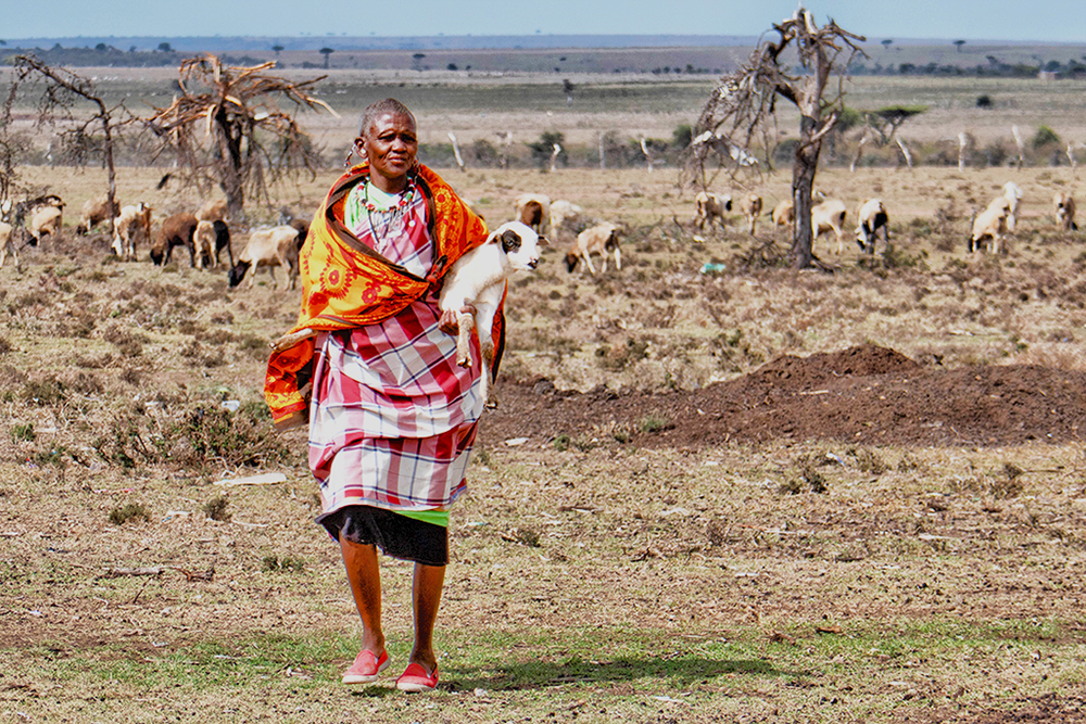 Market Day, Masai Mara Reserve, Kenya by Gabriele Dellanave