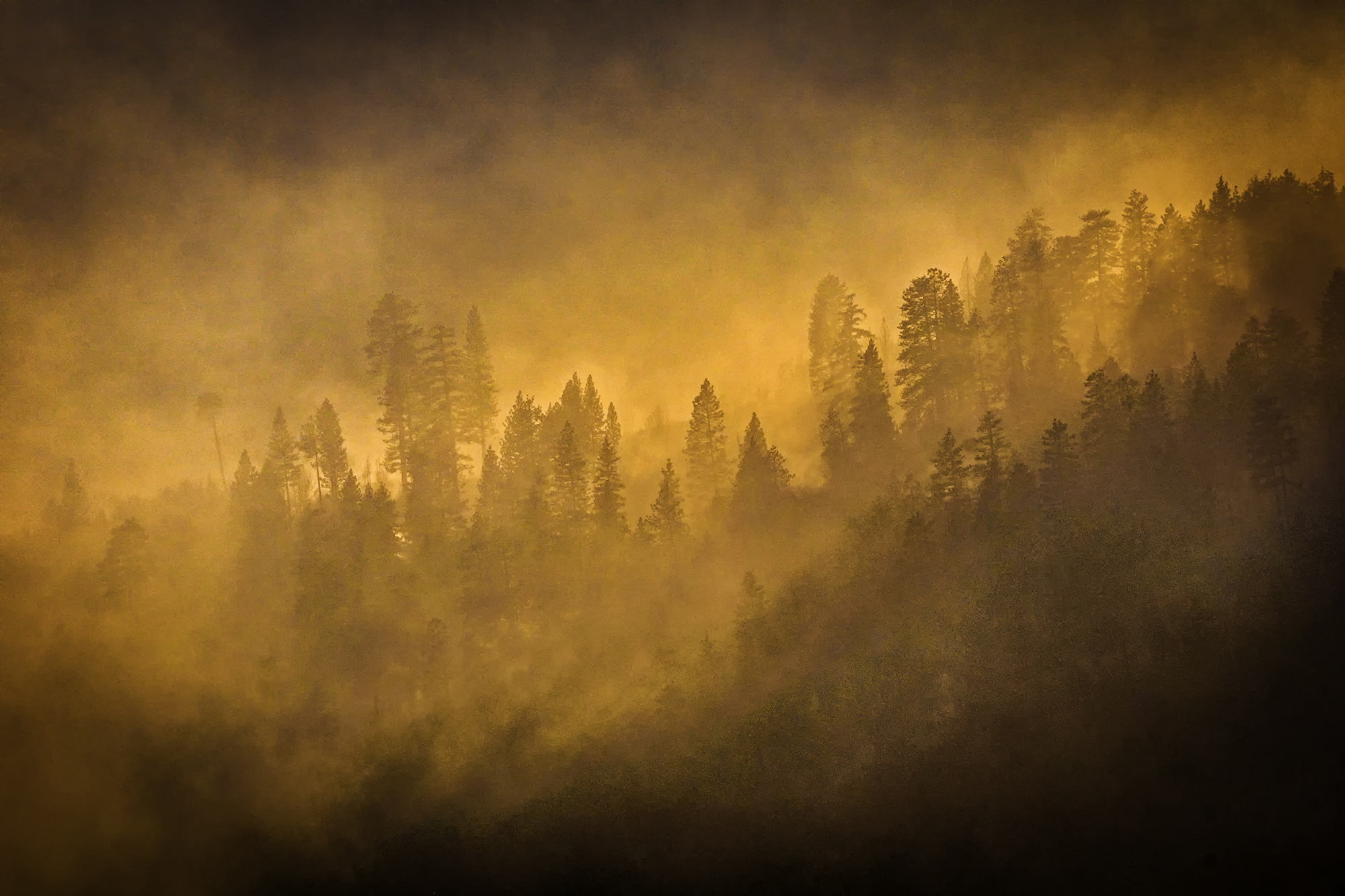 Yosemite Forest Fire By Vaughn Sears AIS ARPS