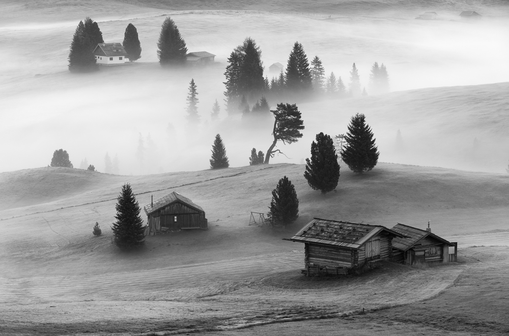 Misty Morning On The Alp By Michael Qvortrup