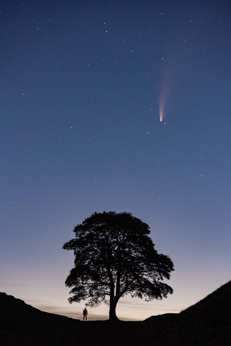 0386 Me Versus Comet Neowise By Mark Mcneill