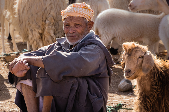Berber Sheep Market