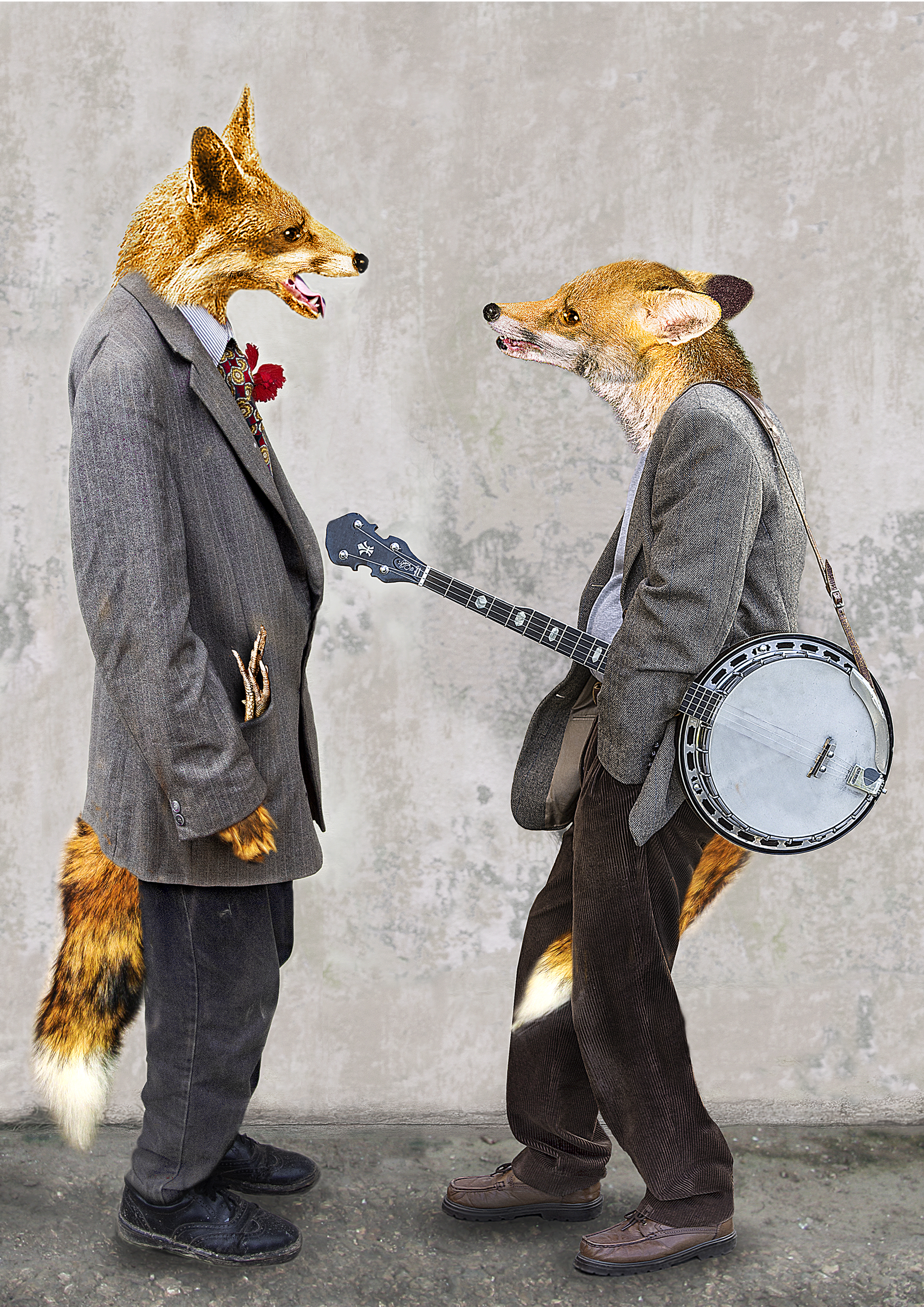 'Urban Fox Aggression' By Hilary Roberts FRPS