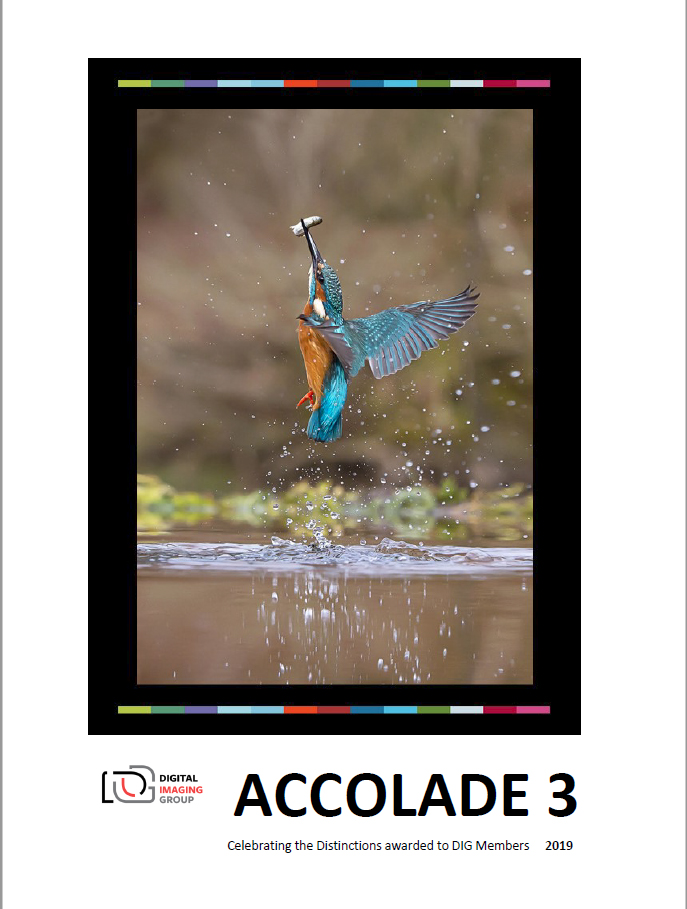 Accolade Cover 3