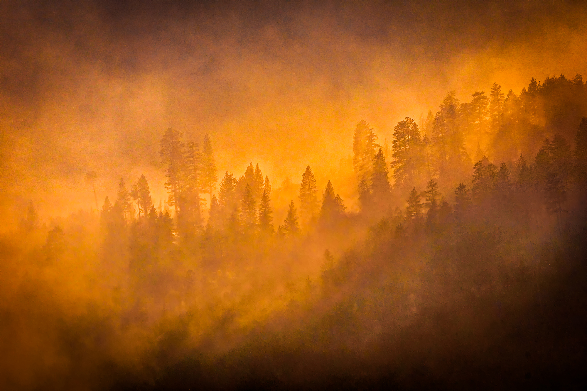 Yosemite Forest Fire By Vaughn Sears AIS ARPS