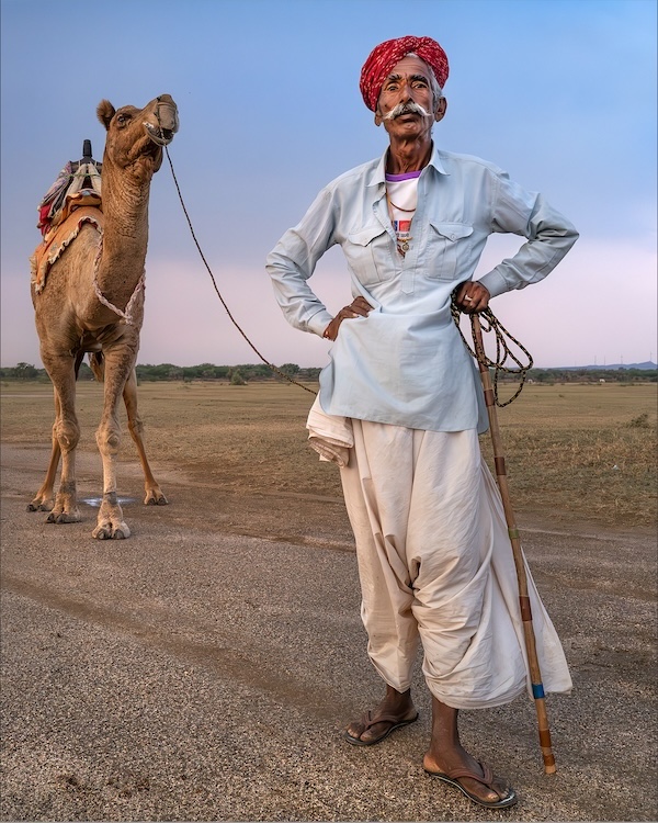 017 Camel Herder Jaisalmer Andrewalbertflanniganarps