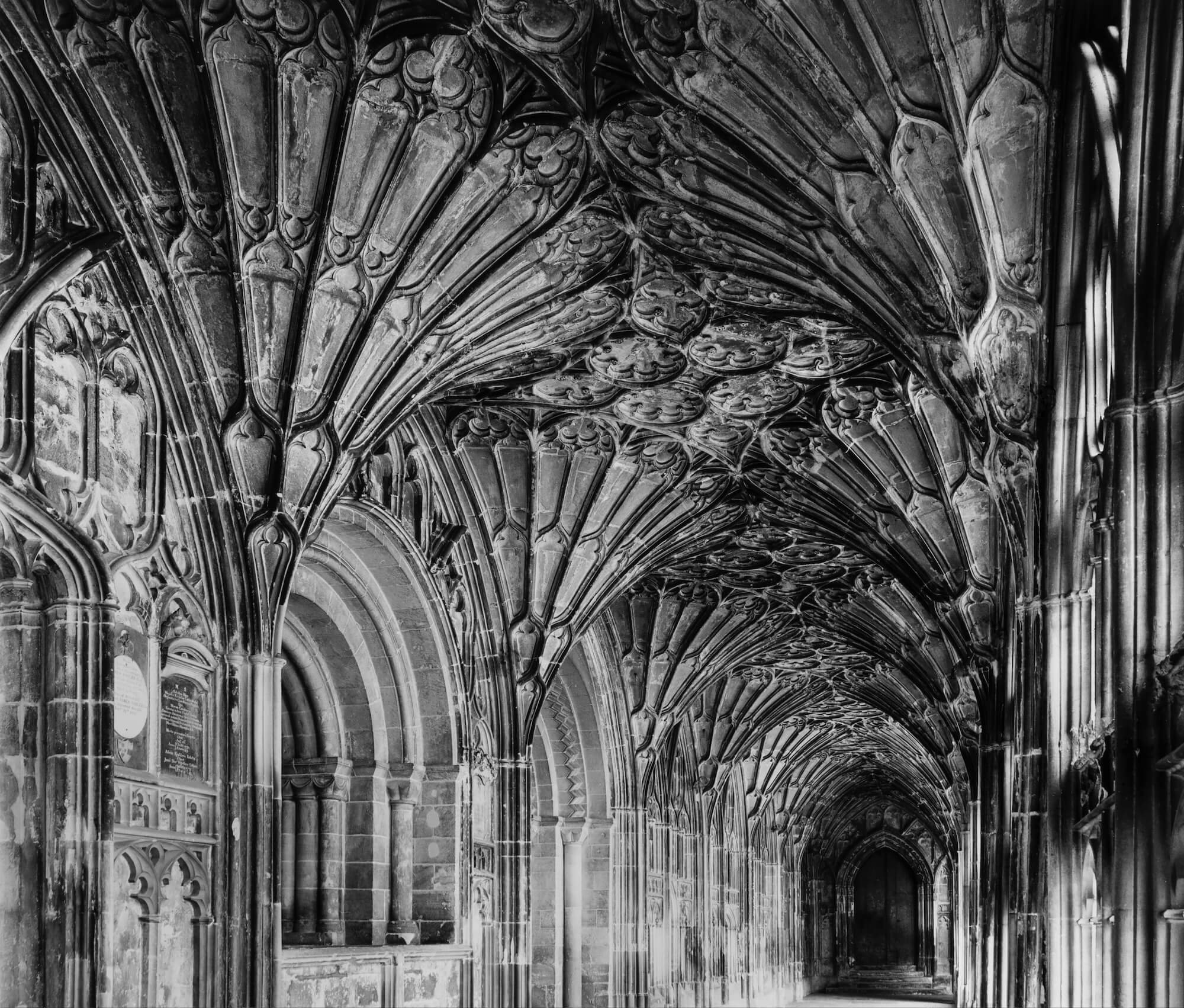 RPS Cloistertracery,Gloucestercathedral