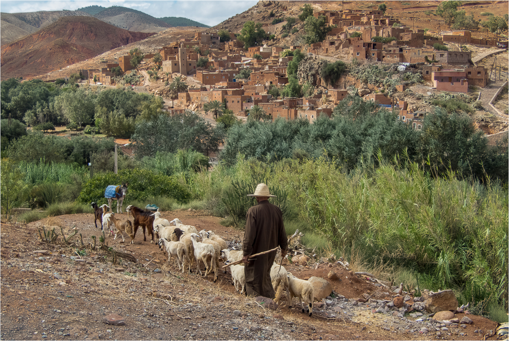 Shepherding The Berber Way, Morocco, by Sue Lambert