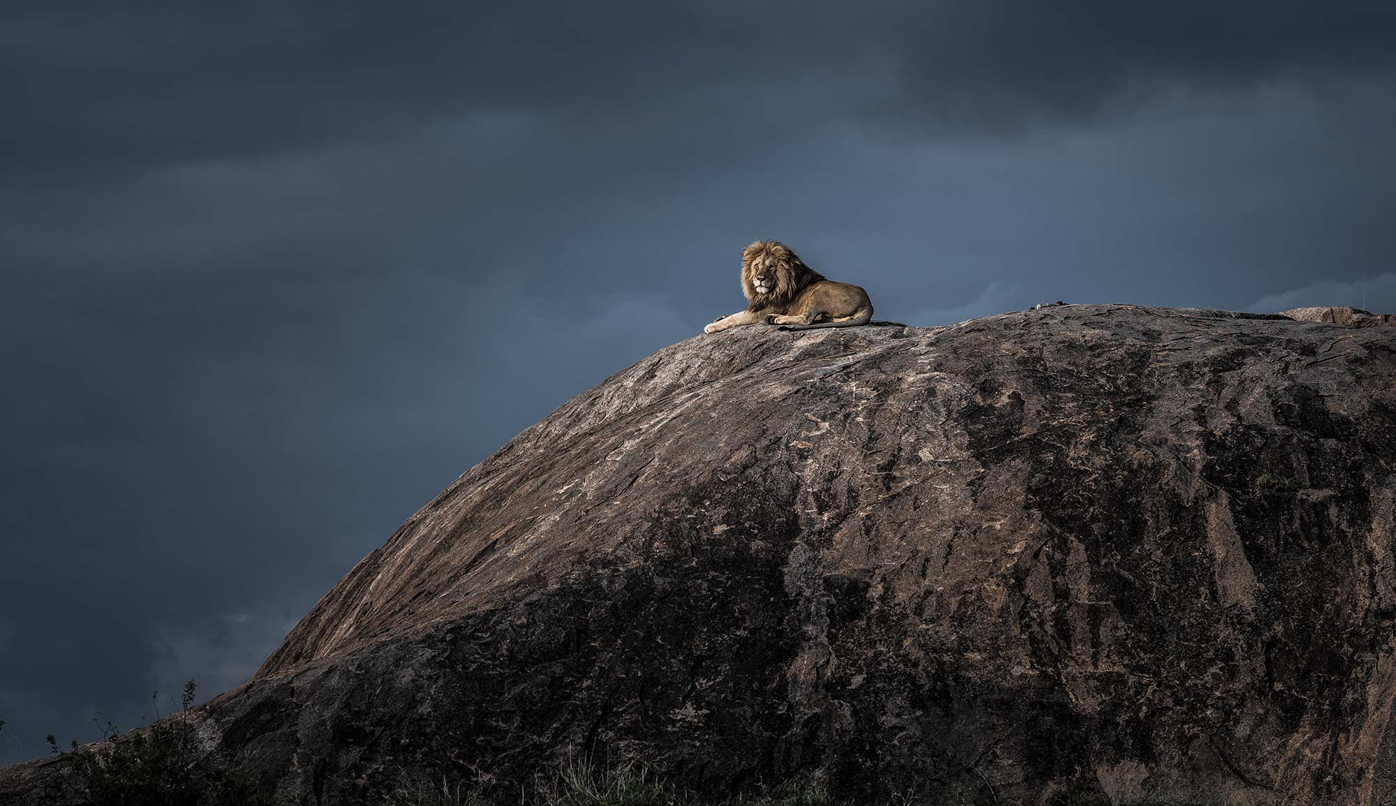 © Wim Van Den Heever, Wildlife Photographer Of The Year