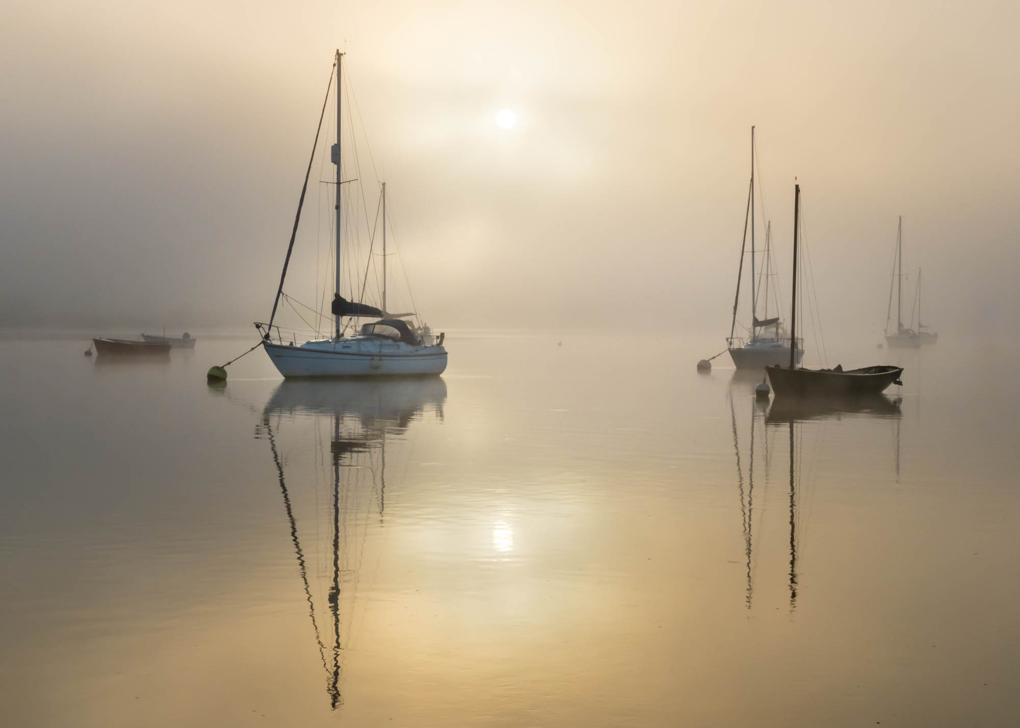  Mist At Sunrise By Mark Cresswell