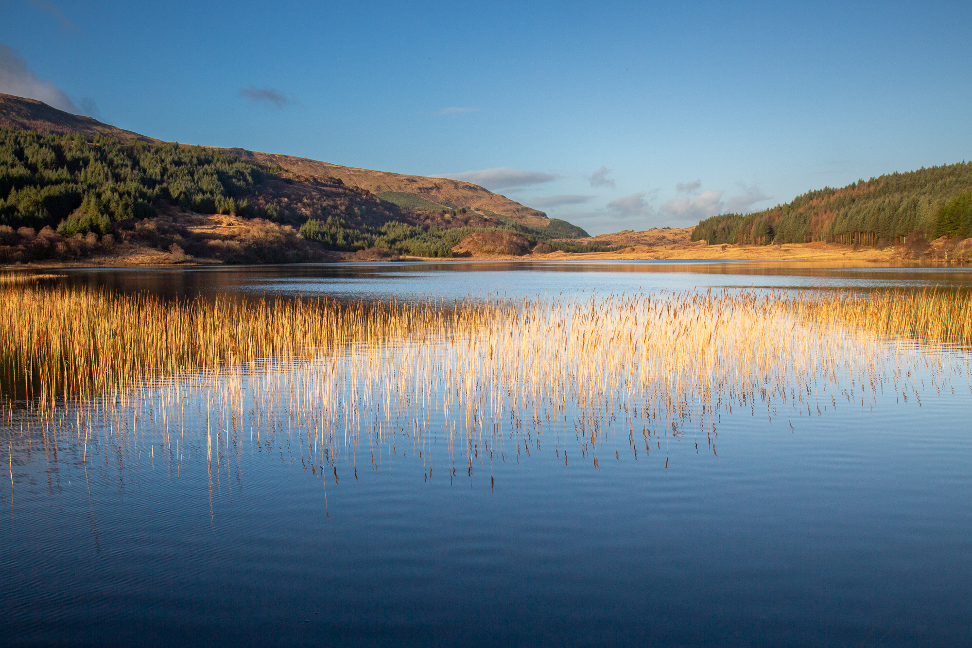 Loch Arienas By Fintan Healy