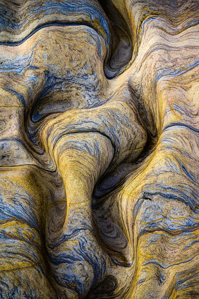 Twists and Turns by Carmel Morris ARPS