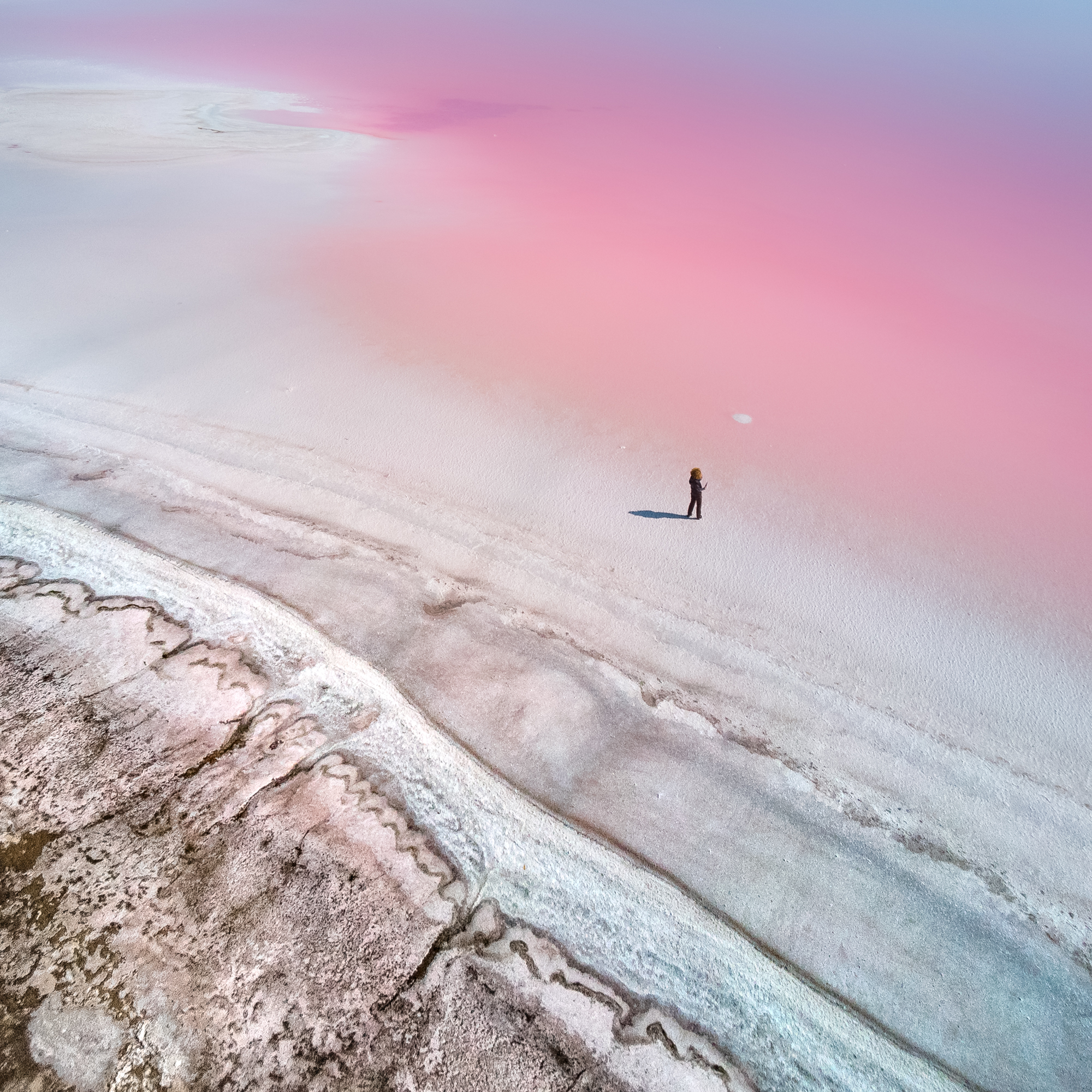 At the Pink Planet by Yevhen Samuchenko