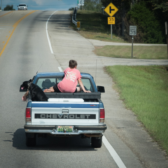 Alabama Road Safety By Steve Jones