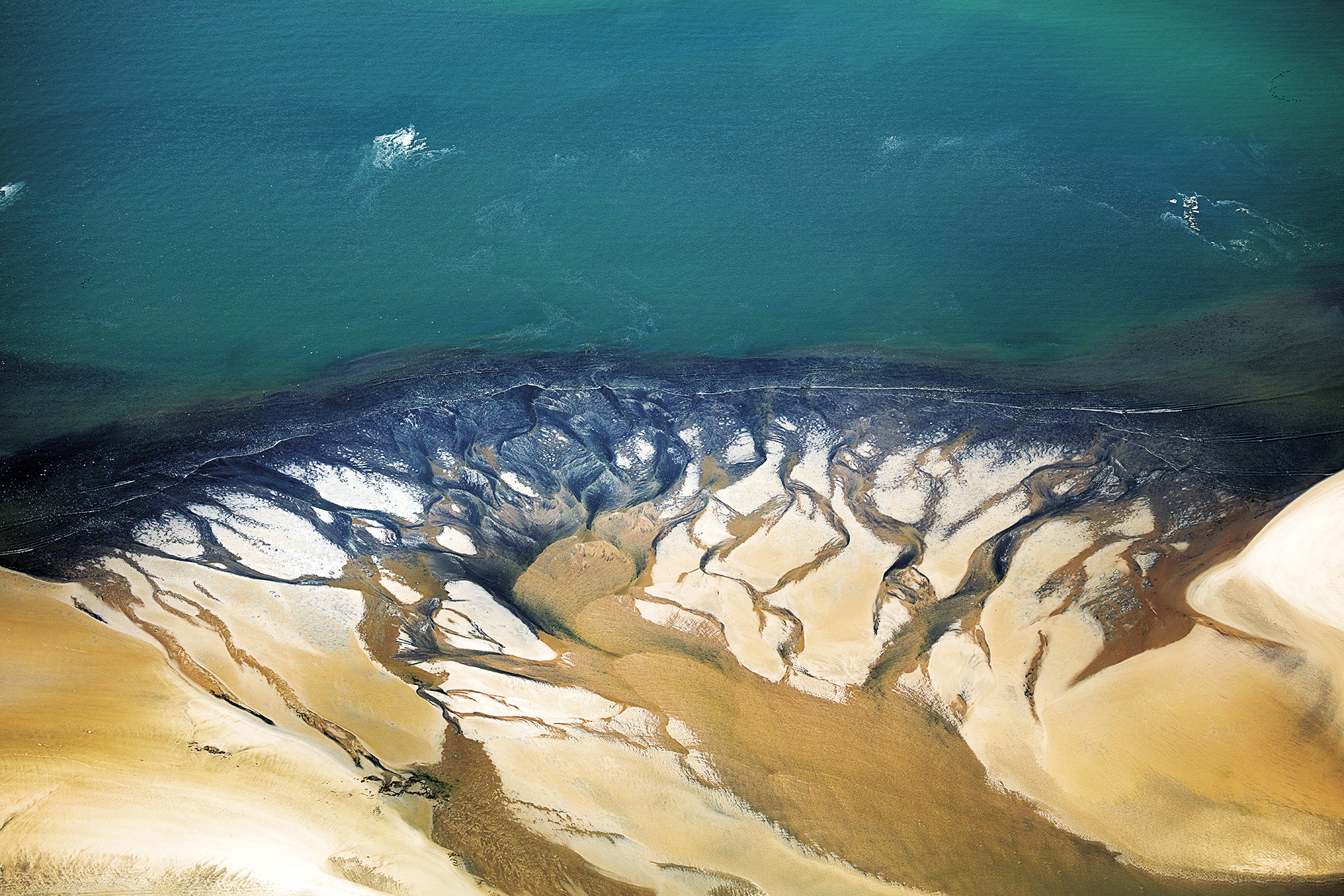 Like A Giant Marine Lung, Sapphire Bronchi Branch Out Through Pale Low Tide Sandbanks In The Walvis Bay Lagoon, Namibia Aerial Africa