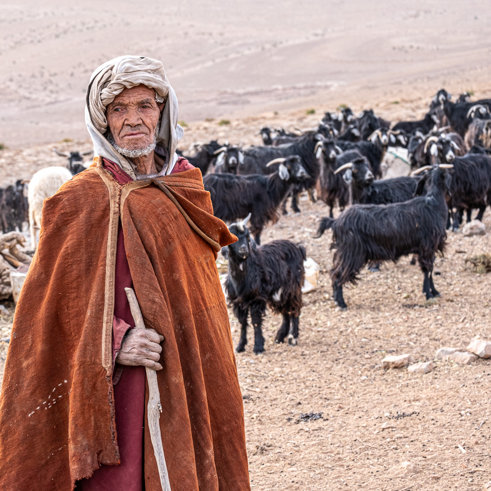 Nomad Shepherd Morocco, by Jane Tearle