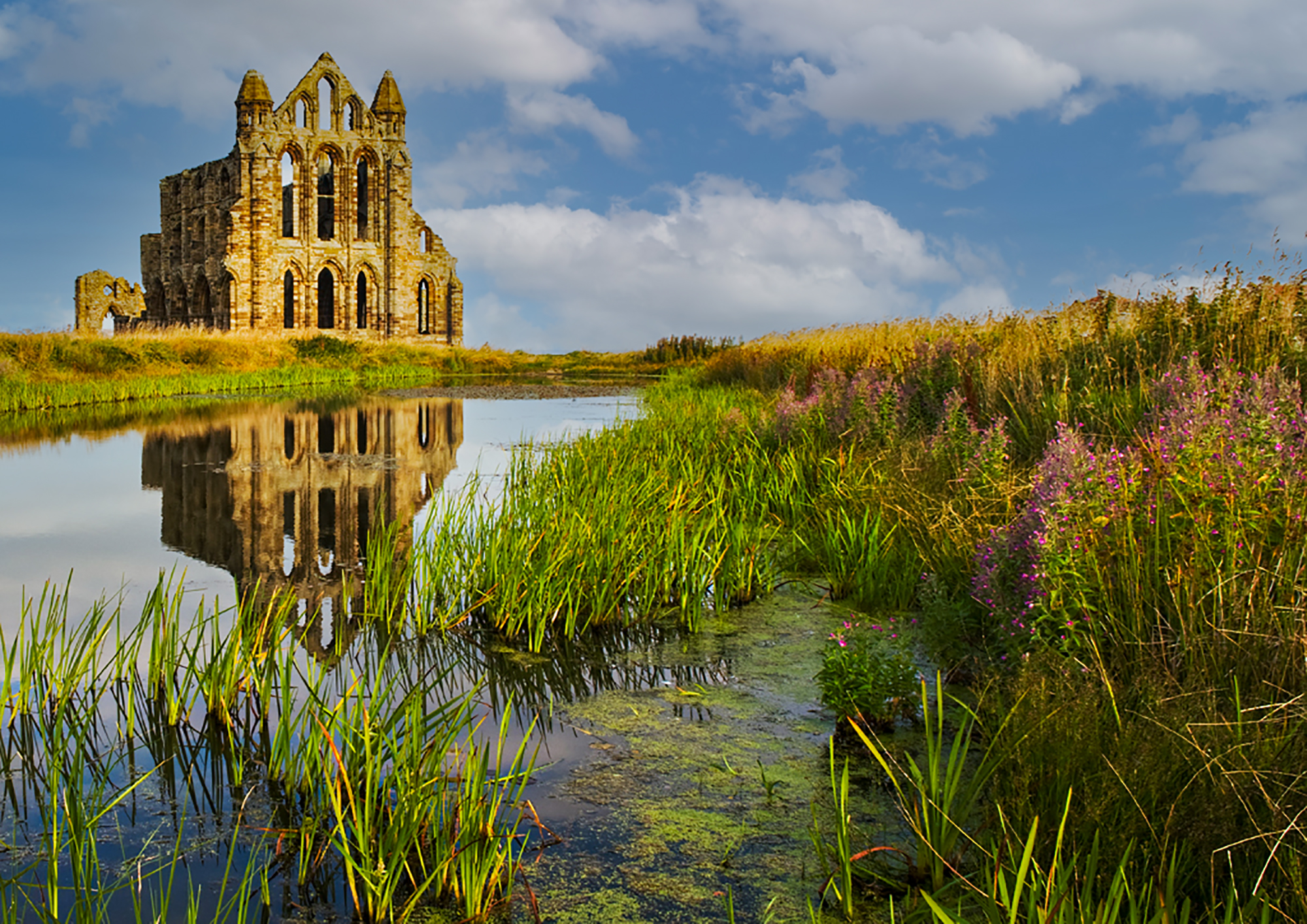Whitby Abbey Reflection By Mahendra Bhatia LRPS,LBPPA