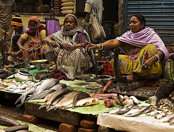 Kolkata Fish Market