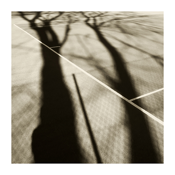 1 Tree Shadow On The Tennis Courts