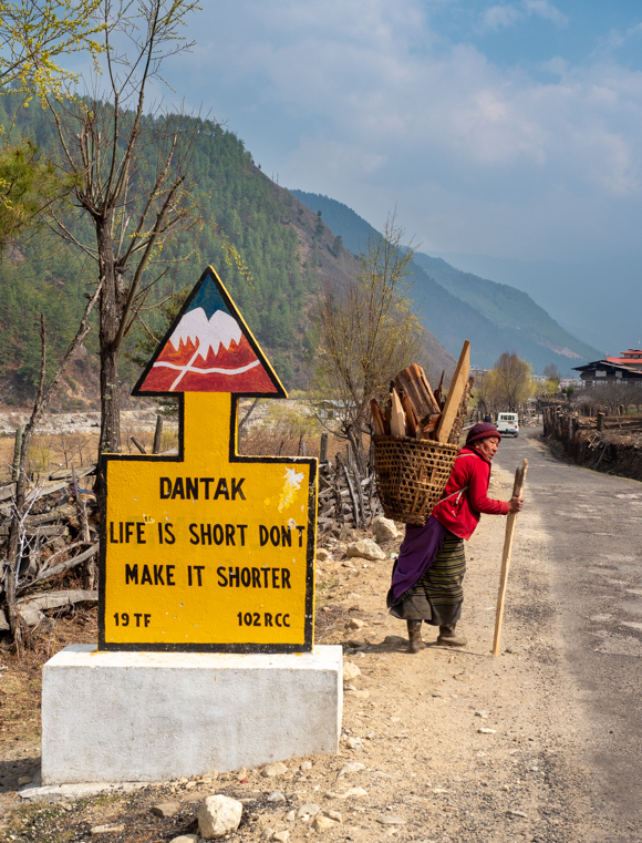 The Road To A Long Life; Old Lady Carrying Firewood. Haa Valley, Bhutan