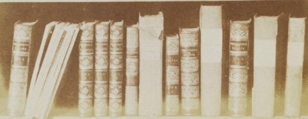 A salted paper print of a row of books in Fox Talbot's library.