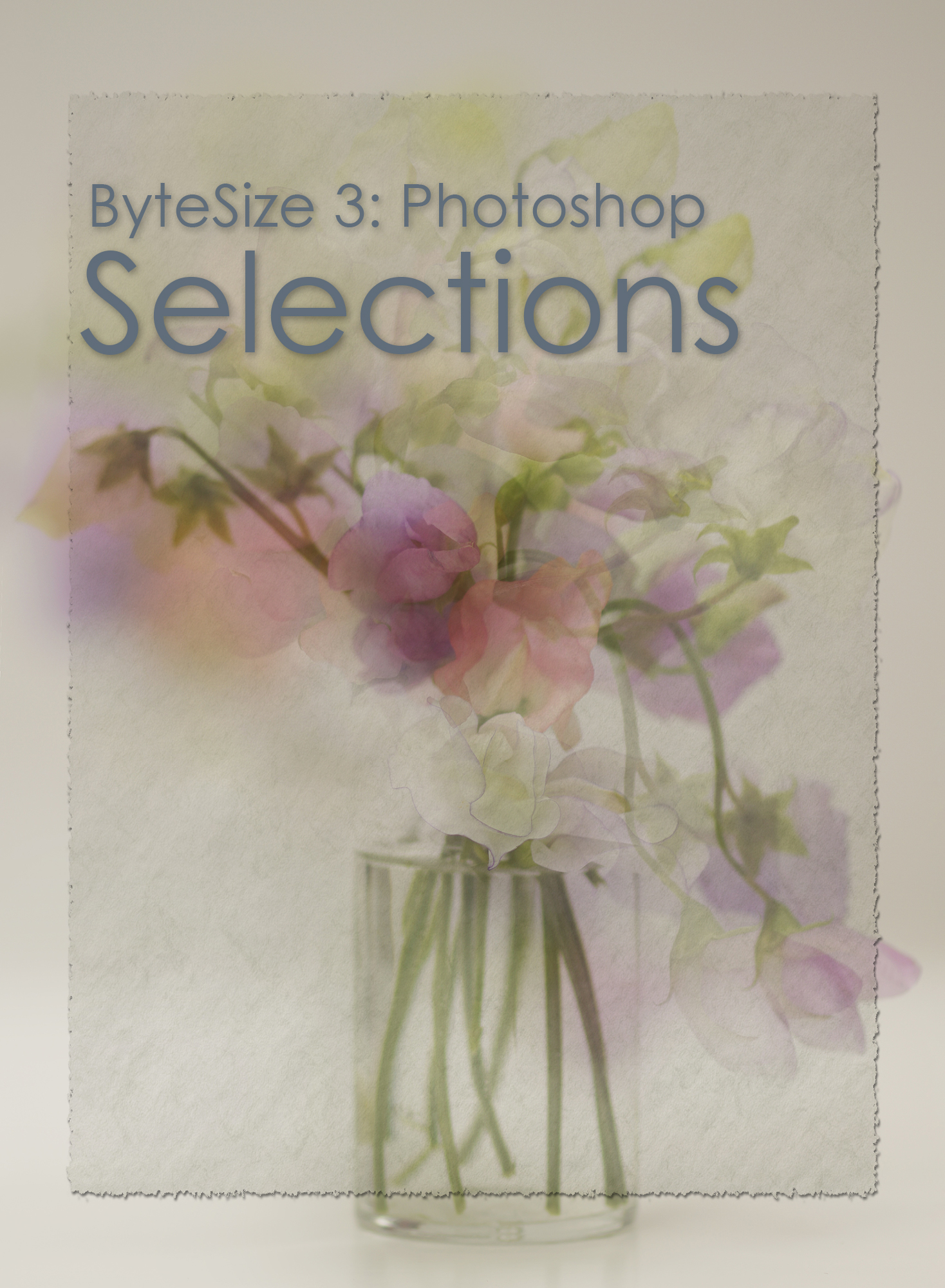 Bytesize3 Selections