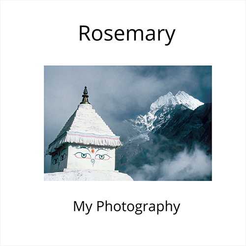 Rosemary Book Cover[22104]