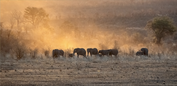 Zimbabwean Sunset Hwange National Park Margaret Hocking ARPS