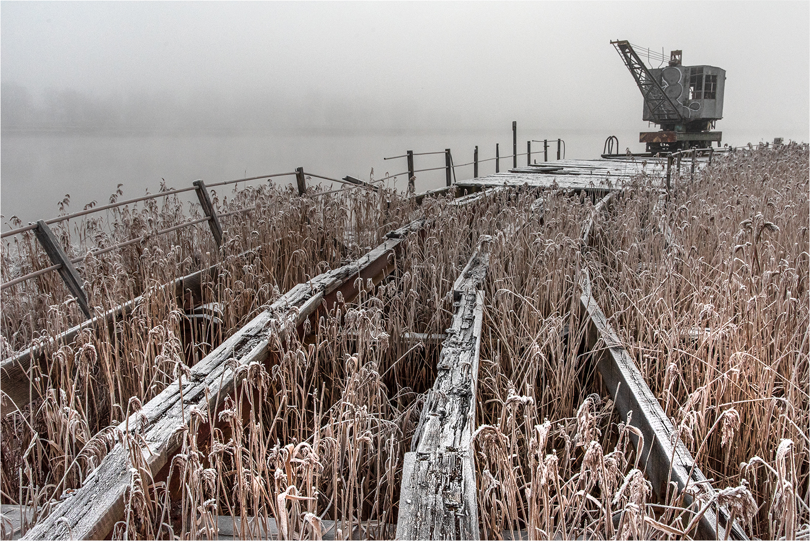 23 - Admiralty Crane hoar frost by Alan Gray LRPS