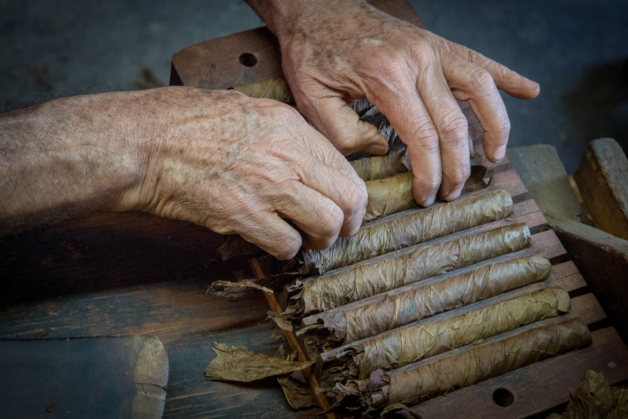 Cigar Rolling Hands By Kim Bybjerg LRPS (The Netherlands)