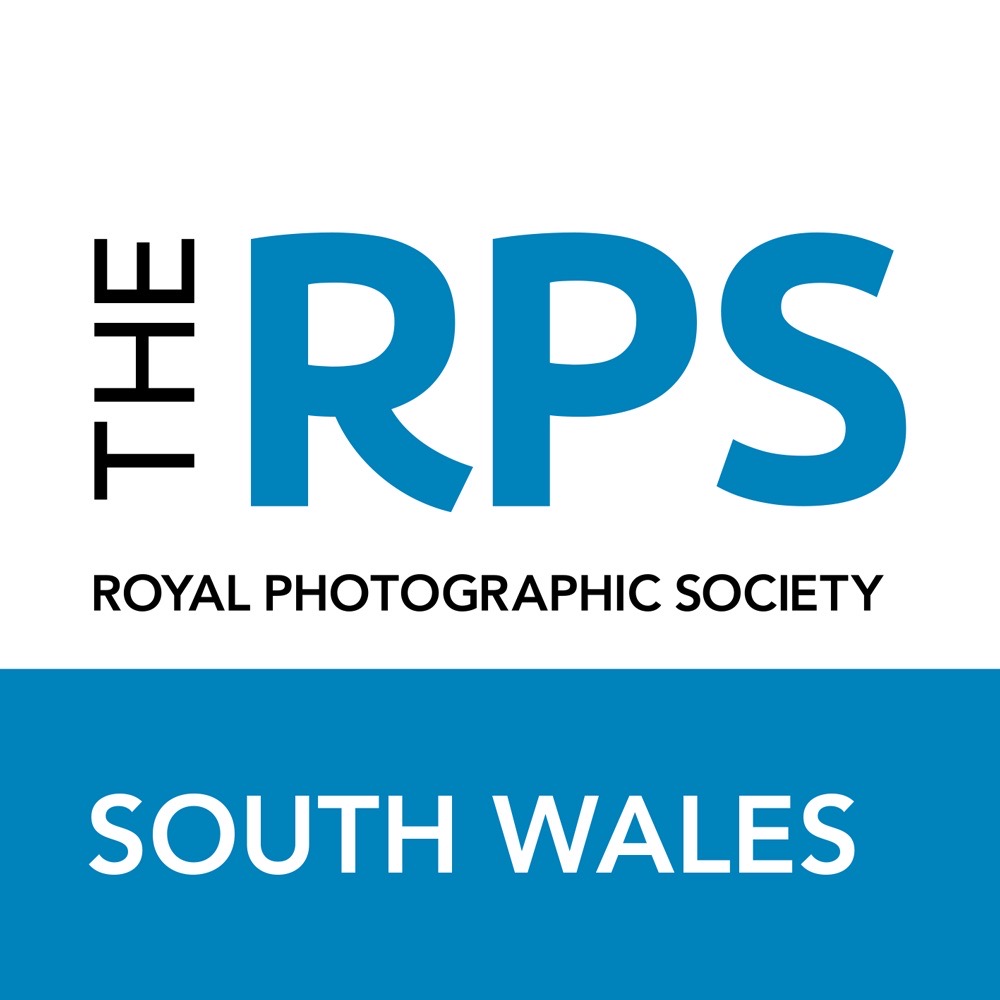 RPS South Wales Logo