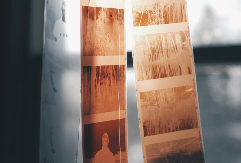 Image Of Processed Negatives By Caleb Minear For Unsplash
