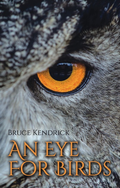 An Eye For Birds Cover