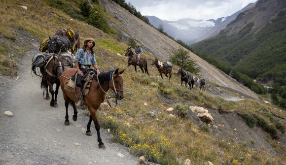 Pack Horse Deliveries, Patagonia, Chile By 