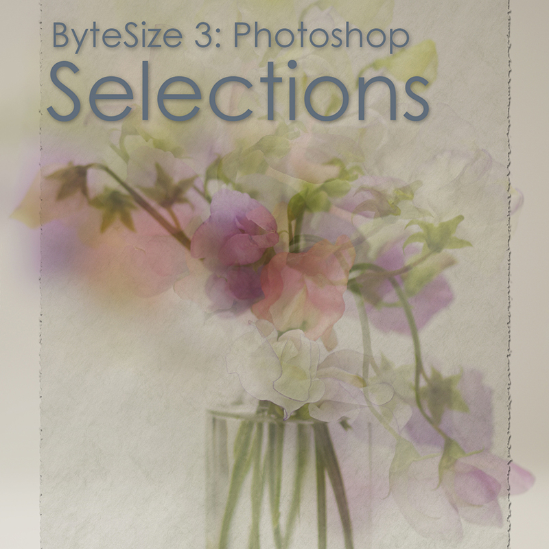 Bytesize3 Selections Copy