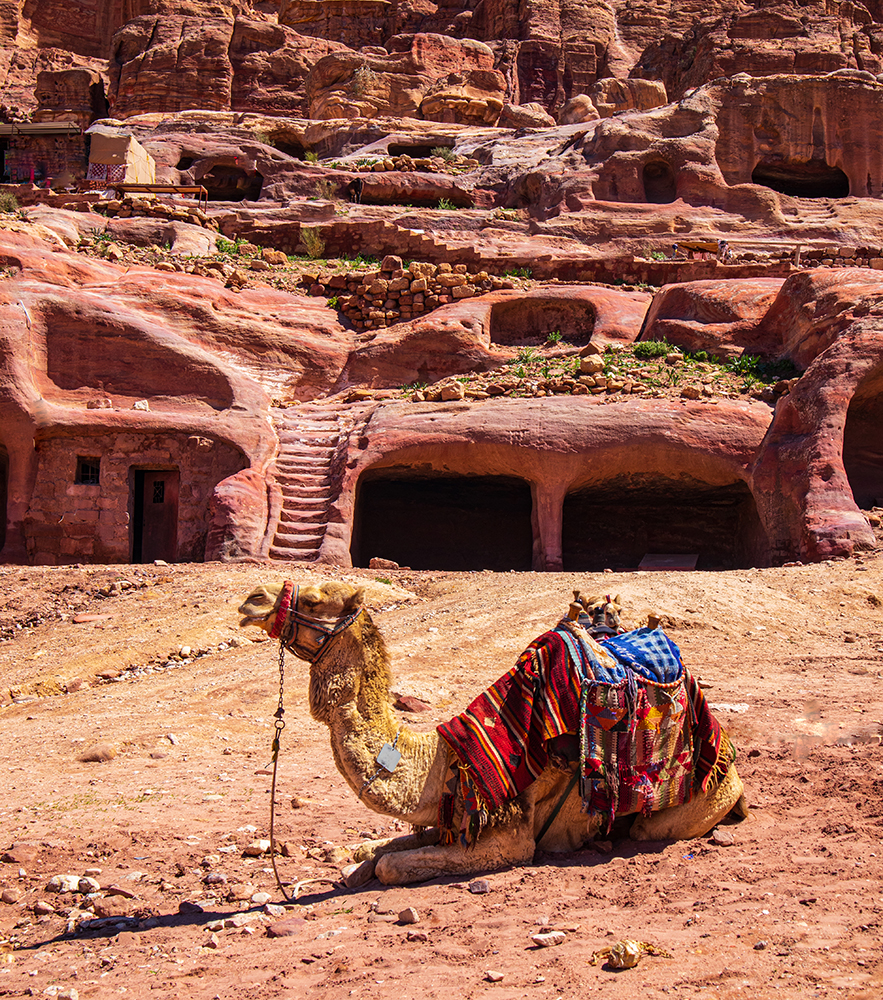 Desert Taxi, Petra, Jordan
